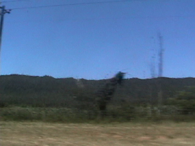 field.jpeg